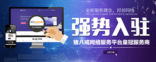 金站网【打造网络营销外包推广服务专业品牌】
